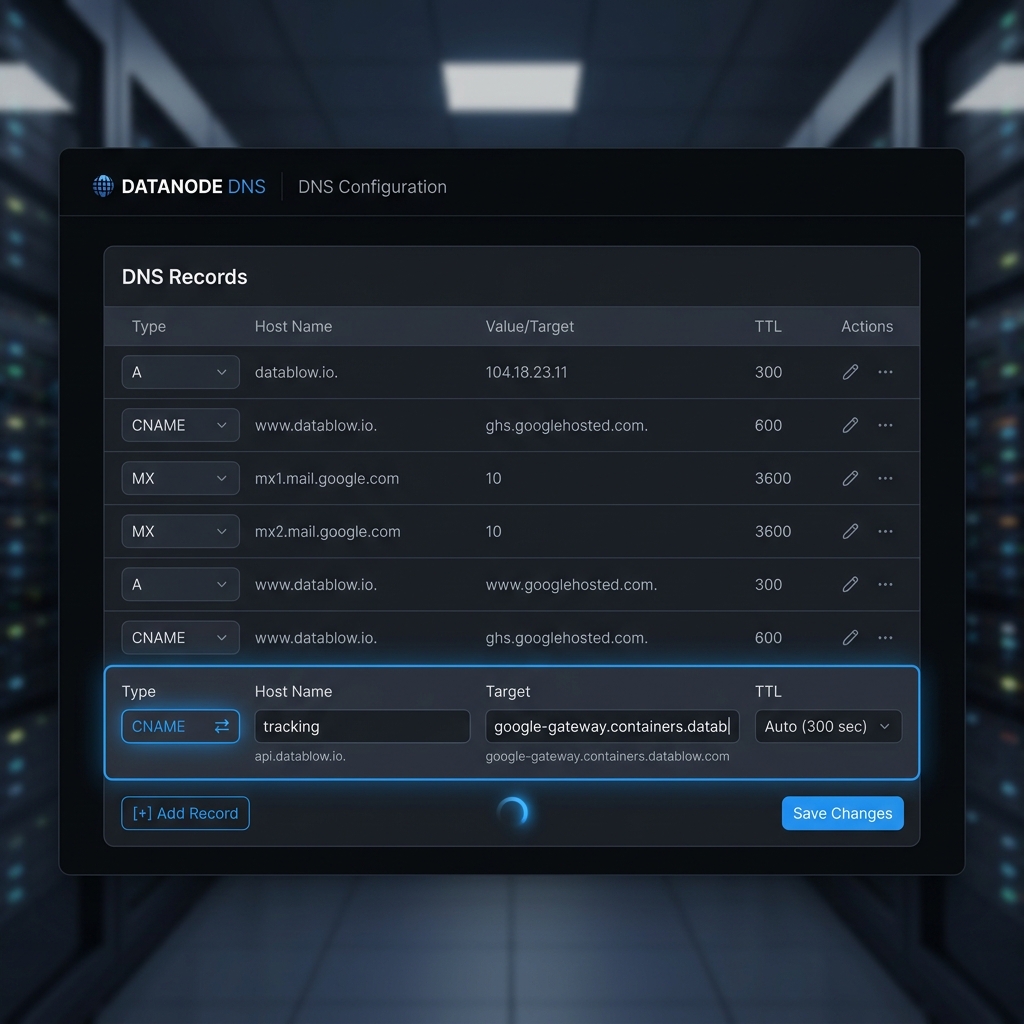 DNS Configuration Panel Screenshot